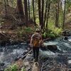 northpeakfinds